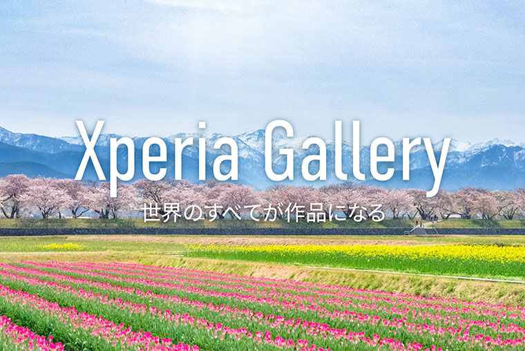 Xperia Gallery クリエイターがXperiaで撮影した珠玉の作品集 sony.jp/xperia/special… bit.ly/3UBPiCd #Xperia #Xperia1V #Xperia5V