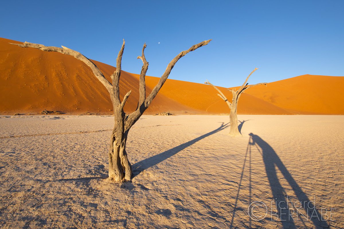 #ThrowbackThursday and Yours Truly throwing shade in Deadvlei, Namibia