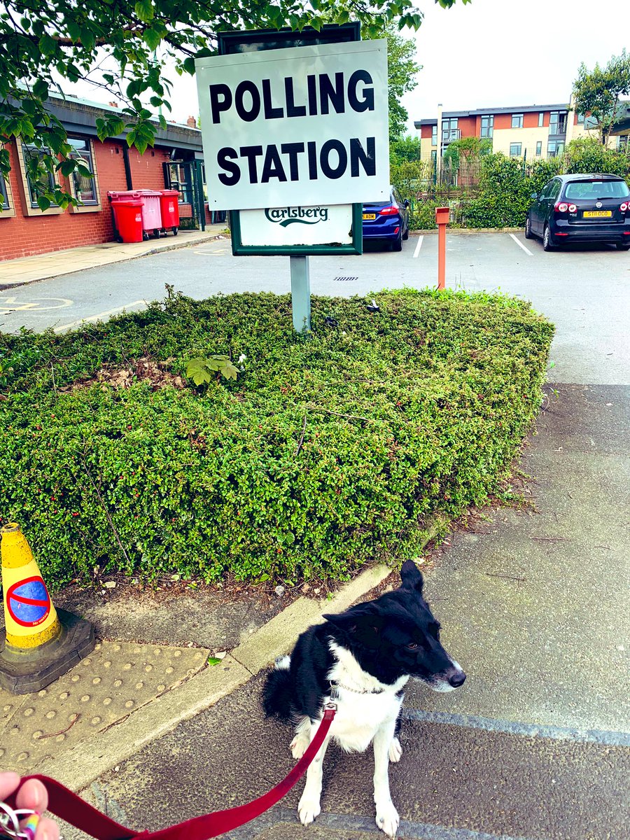 Seren knows what to do. Vote @Trafford_Labour and @AndyBurnhamGM #dogsatpollingstations