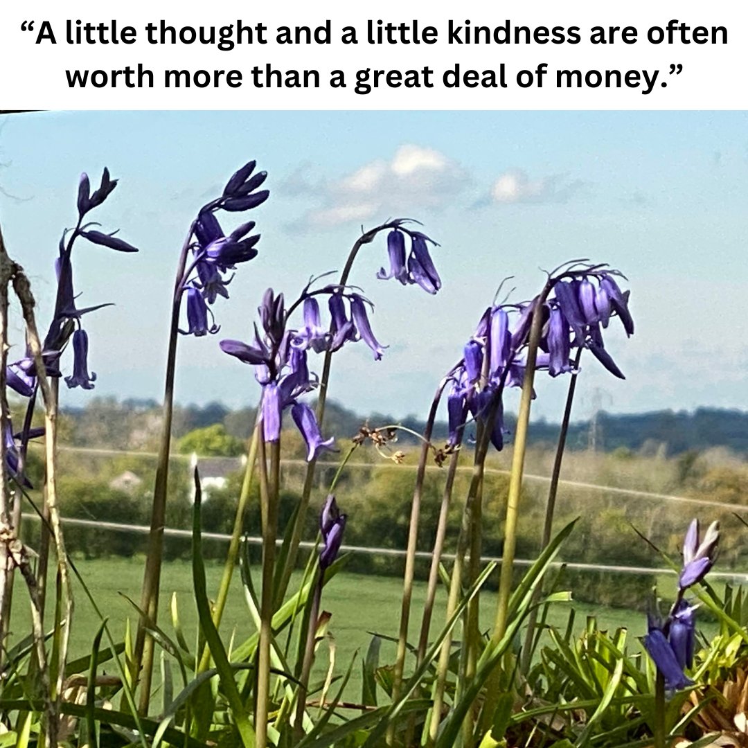 #powerofpositivity💖 
John Ruskin 
“A little thought and a little kindness are often worth more than a great deal of money.”  
#LetsGoHome #positivity #positiveenergy #magicmoments #meditation #inspiration #behappy #musictherapy #freedom #lovelife❤️