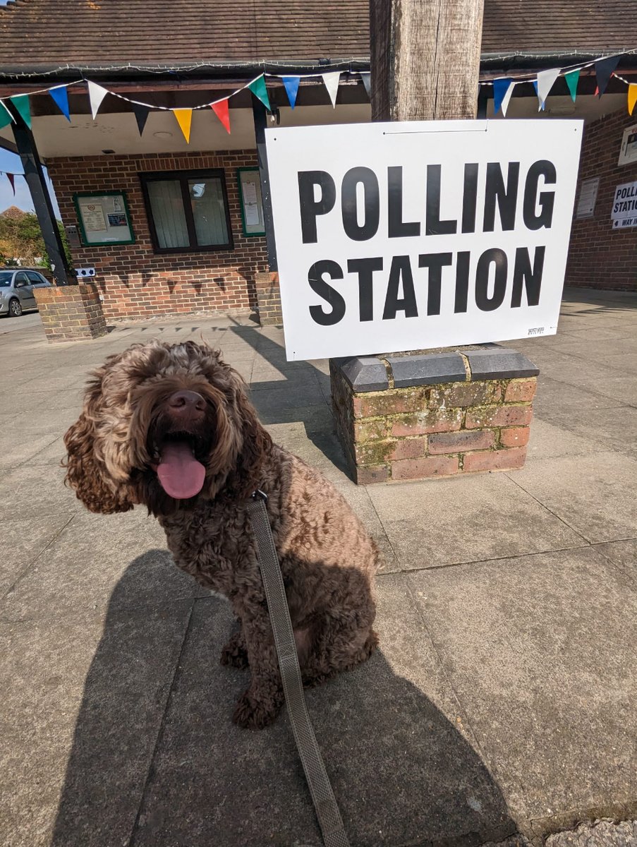 Rolo's ready to vote at the PCC elections today #DogsAtPollingStations