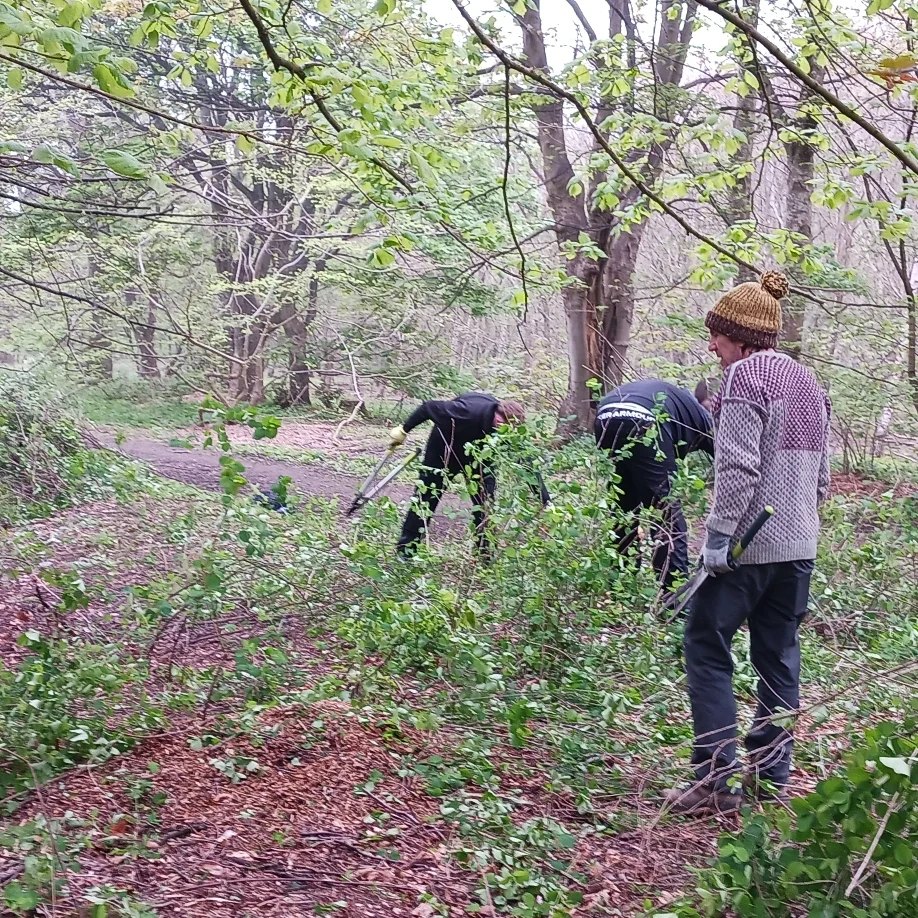 Another fantastic effort by the Youth Build crew tackling the snowberry in Craigmilar Castle Park. Although it is a bit of a losing battle by knocking back non-native plants like snowberry, we make more space for other plants that support a wider diversity of other species.