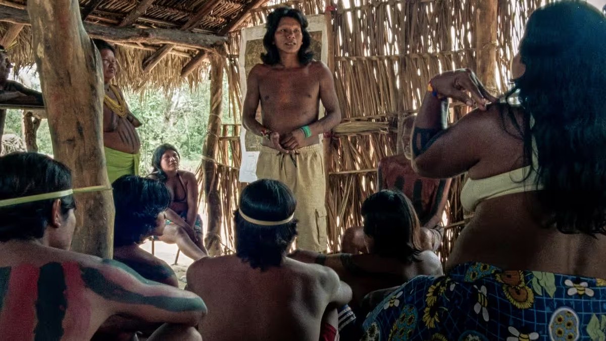 'La Fleur de Buriti' : un documentaire-fiction sonnette d'alarme sur les derniers autochtones d'Amazonie @AdVitam_distrib francetvinfo.fr/culture/cinema… via @franceinfo