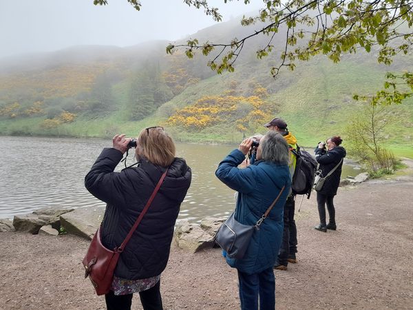 We spent the morning admiring the birds at St Margaret's Loch in Holyrood Park learning about what to feed them (oats cornflakes and seeds) and what not to (bread). Huge thank you to Keith from Historic Environment Scotland for taking us out, everyone had a great time.
