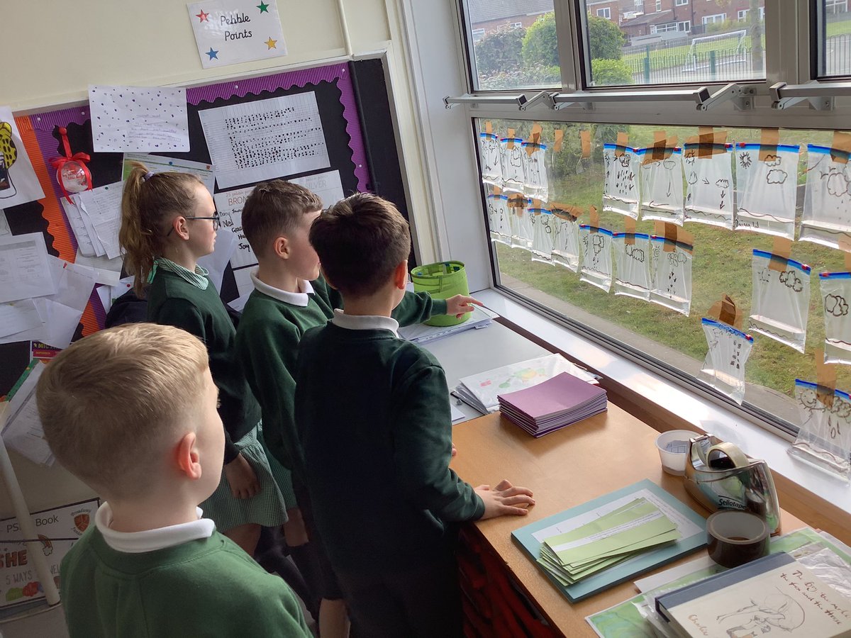 We’re straight into class this morning and checking on our water cycles! The gorgeous sunshine is certainly helping our water to evaporate. We’ll continue to observe them throughout the day. ☀️ 💧 @broadwayjuniors