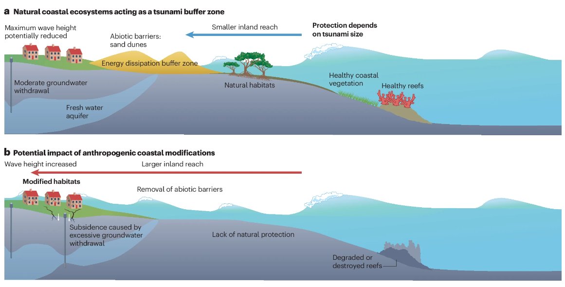 🚨New Perspective!

Human modifications to the environment can amplify the hazards from earthquake-triggered landslides, liquefaction &amp; tsunami🌊⚠️

This Perspective by <a href="/emh_geodesy/">Emma Hill</a> et al. discusses these links to identify steps for hazard mitigation

nature.com/articles/s4301…