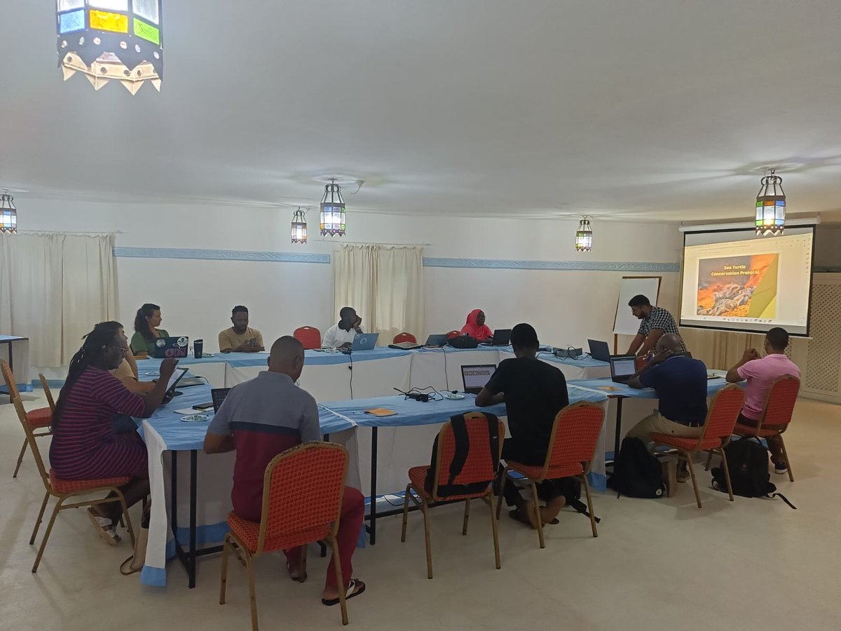 Our team of researchers from the Coastal and Marine Center hosted a meeting  with @localOceanCo in collaboration with @KWS,@WWF_Kenya, @IFAW,@oliveridley, @Pwani University, @Baharini Hai and  @Kesofficial  on developing a  centralized national sea turtles database .