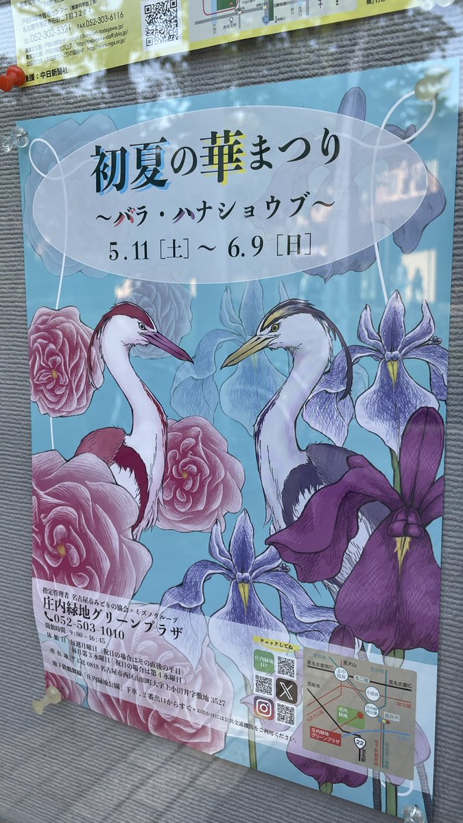 5月11日から、庄内緑地公園で 初夏の華まつり が開催されるよ～✨️