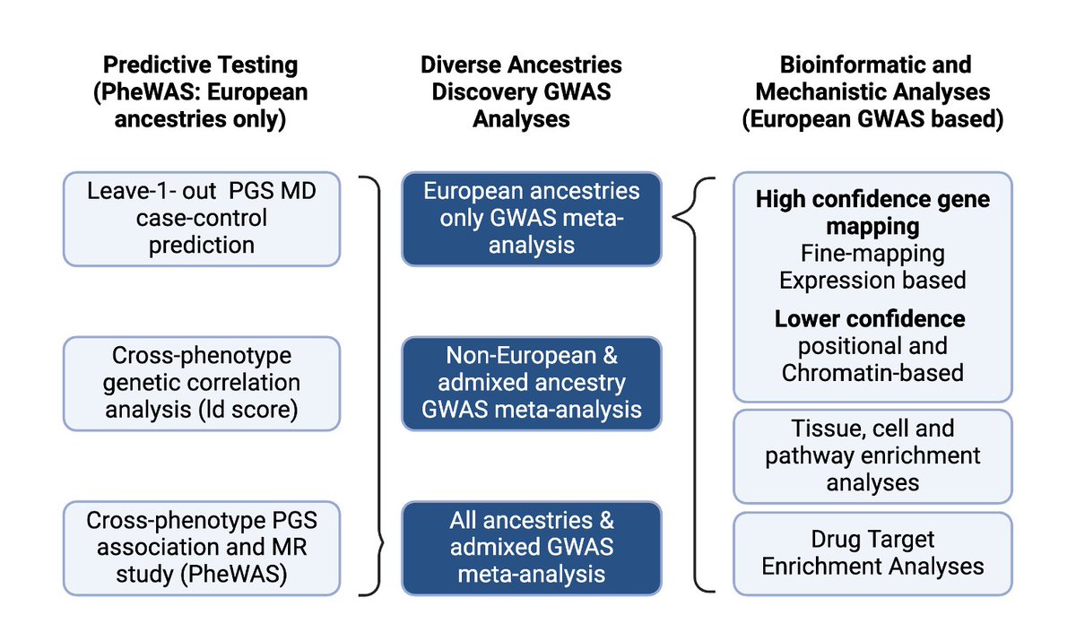 New pre-print from the @PGCgenetics #Depression Group: Multi-ancestry GWAS of depression with 685,000 cases identifies 697 independent associations, implicating known & novel drug targets. 🔗 medrxiv.org/content/10.110… 1/n