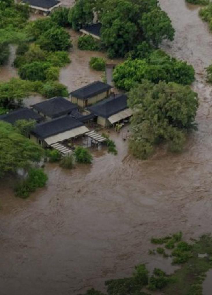 Massai Mara In Kenya, where tourists had to climb trees waiting to be rescued. Insurance companies are in trouble