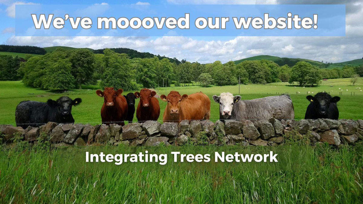 The Integrating Trees Network has 'moooved' website! Find out about our fantastic host farmers and crofters, case studies, videos, tree info and key messages. Pls RT. You can find us here: forestry.gov.scot/support-regula… #farming #crofting #forestry #trees #treeplanting