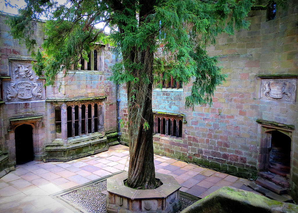 Arbre 

The Conduit Court and Yew tree - Skipton Castle, North Yorkshire

perseverando