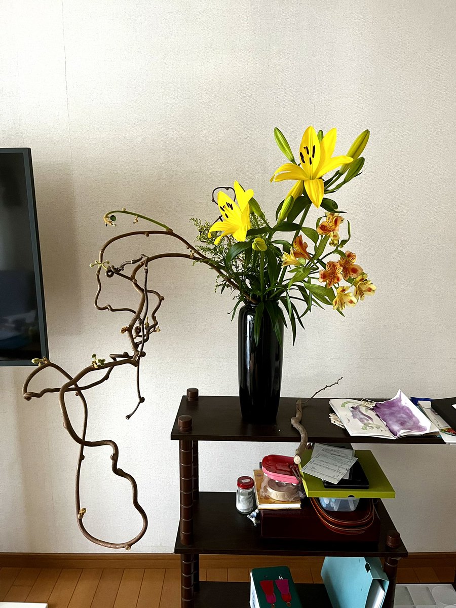 #ikebana 
キウイの蔓