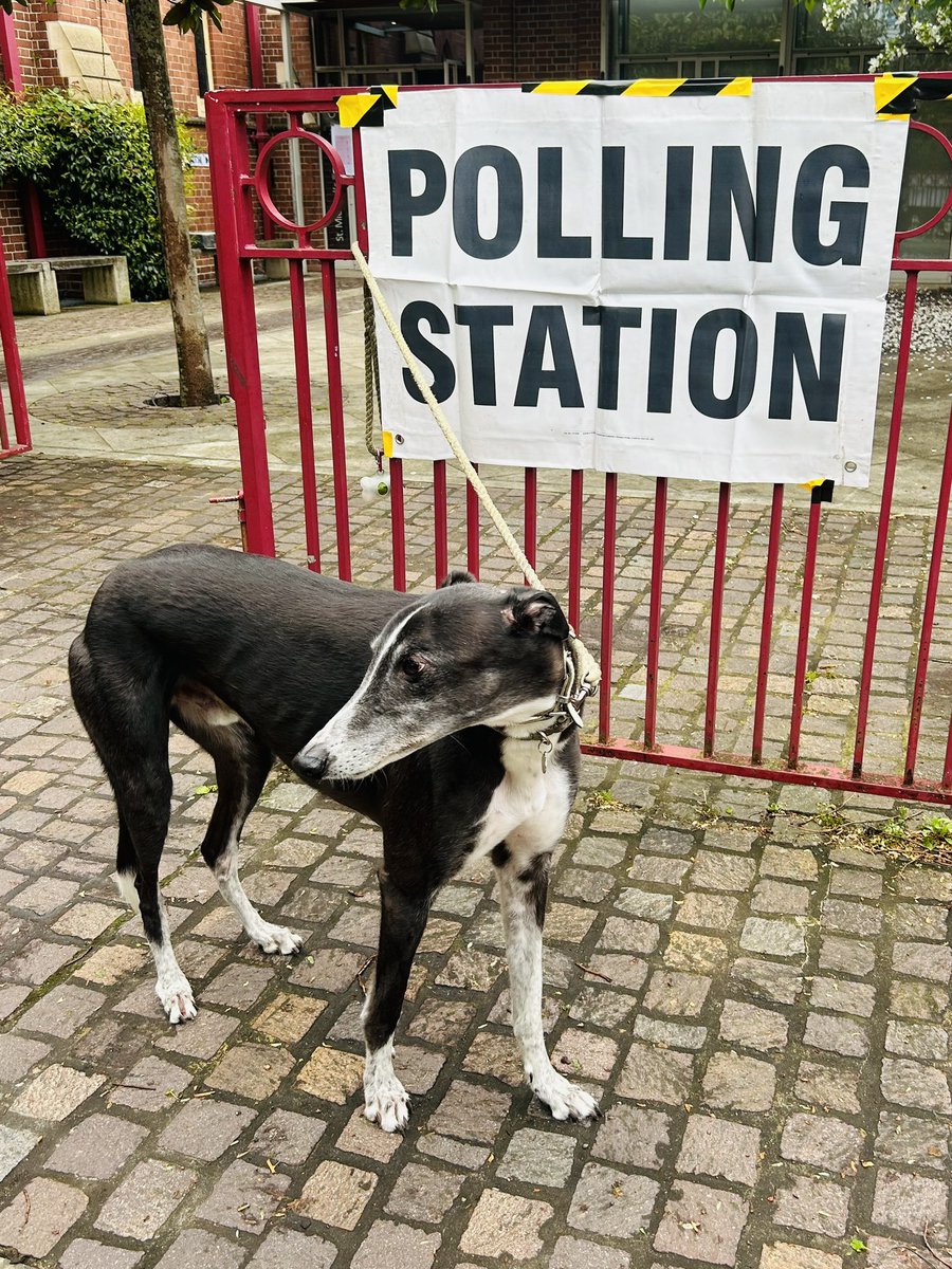 Photo ID ✅ Voting ✅ Can we get back to our normal walk now? #dogsatpollingstations