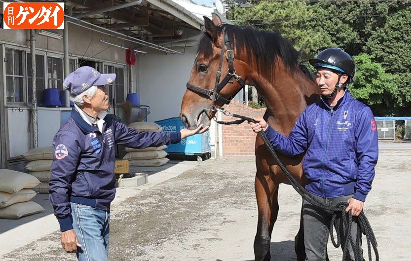 日刊ゲンダイ 競馬 on X: 日刊ゲンダイ 競馬 on X:
