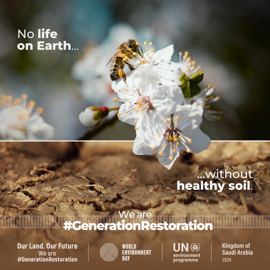 Healthy soils, healthy planet, healthy people.

Soil is essential to all life on Earth. Yet human activity is putting it at risk.

#WorldEnvironmentDay is a reminder that we all are #GenerationRestoration — let’s act like it.

👉worldenvironmentday.global