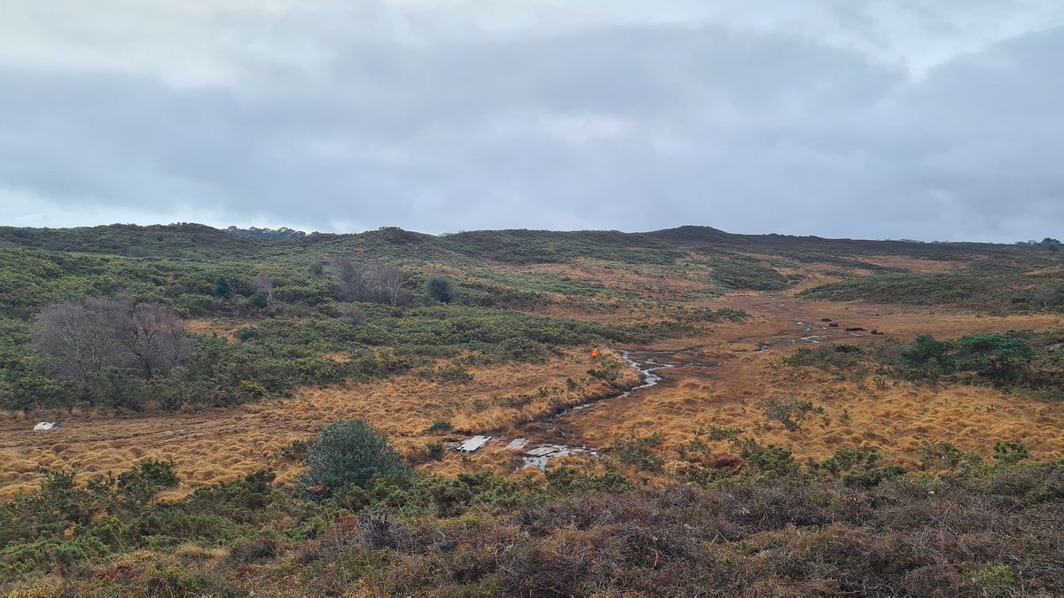 Don't forget that the #PeatlandCode public consultation is open until 20 May - this is your chance to comment on the draft Peatland Code Version 2.1. For more information, to see the draft documents and to complete the survey, please visit our webpage 👇 iucn-uk-peatlandprogramme.org/peatland-code-…