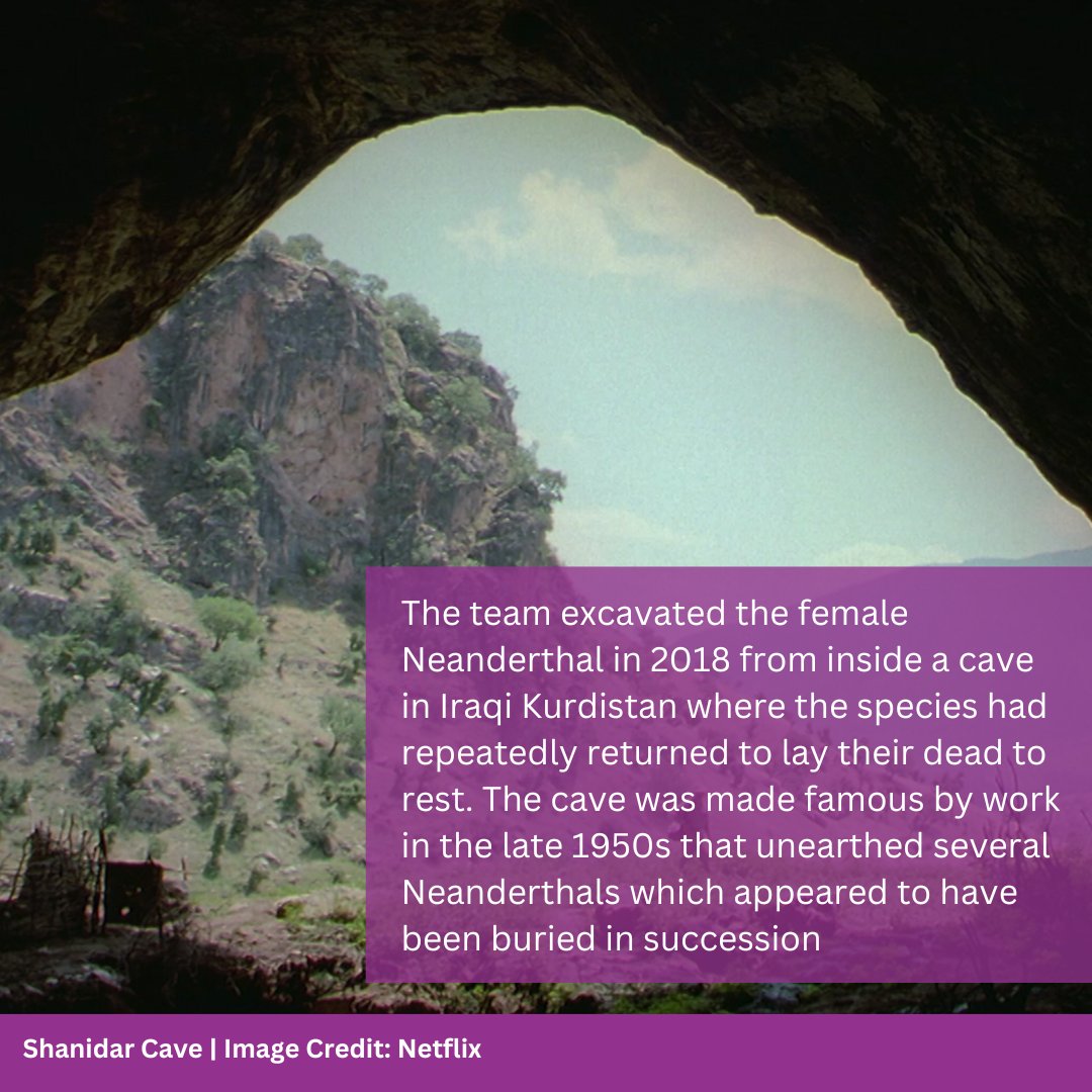 🎥🦴We are delighted to announce the release of the Netflix documentary ‘Secrets of the Neanderthals’ today, featuring the Shanidar Cave Project!

👉 Read the story to find out more: arch.cam.ac.uk/news/shanidar-…