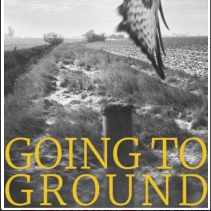 So happy to be featured in this anthology, pub'd by @LittleToller , edited by @jonwoolcott Going to Ground: An Anthology of Nature & Place uk.bookshop.org/p/books/going-…