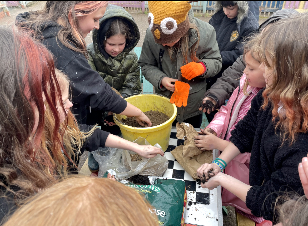 The Next Door Nature team recently collaborated with Cefnllys Primary School Eco group in Llandrindod Wells 🙌 Together, they're mixing compost, garden soil, and native flower seeds to create seed balls for planting around the school grounds to help boost #biodiversity 🌼🐞