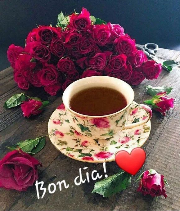 @RbRoser @2Genius969 @GambusAssumpta @Pilar70116971 @gisela_lloveras @jasaezbenito @Natxo62 @RepublicaToni @MnicaRebullCome @Altafaja1P bon dia Roser, estimada! feliç dijous!😘😘😘😘😘 a vegades costa trobar cançons d'estrena. però es fa es que és pot😎😎 Moixaines per a en Soul 🐕🐕🐕🐕🐕 i petonets per a tu💋💋💋💋