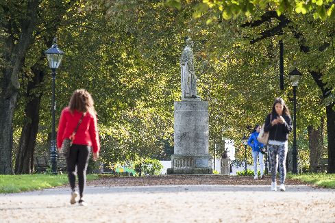 Our first Wednesday Wellbeing Walk takes place on Wednesday 8 May. These free lunchtime walks, run by Mark Darcy from markdarcy.co.uk, are a fantastic way to improve your mental health and discover Southampton’s green spaces. Learn more: buff.ly/49XpsNB