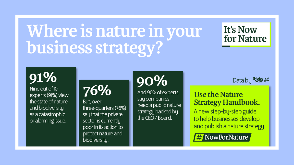 🌱 Where’s #Nature in your business strategy? Whilst nature underpins every aspect of our society, wellbeing and economy - nature is in crisis. Our 'It's #NowForNature' campaign addresses just this. 👇 🔗 Read our Nature Strategy Handbook now: nowfornature.org