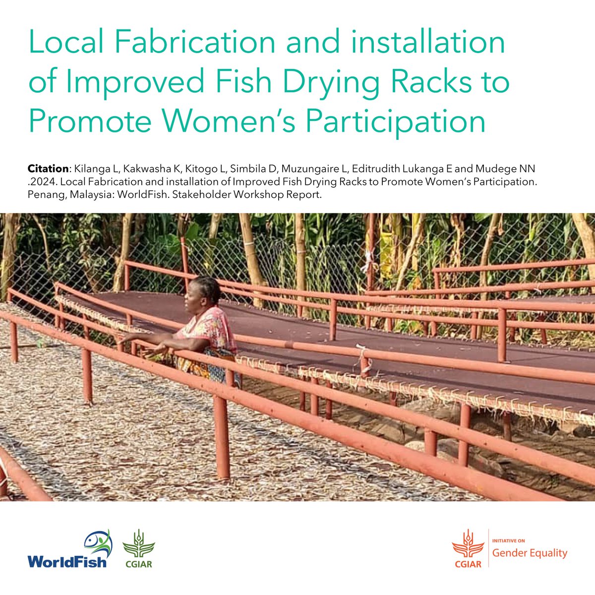 📕 Discover how locally fabricated fish drying racks empower women processors, boosting their resilience to climate-induced economic challenges. 👉 tinyurl.com/WFPub2404s #AquaticFoods @CGIARgender @KeaganKakwasha, @EditrudithLuka1, @NetsayiMudege