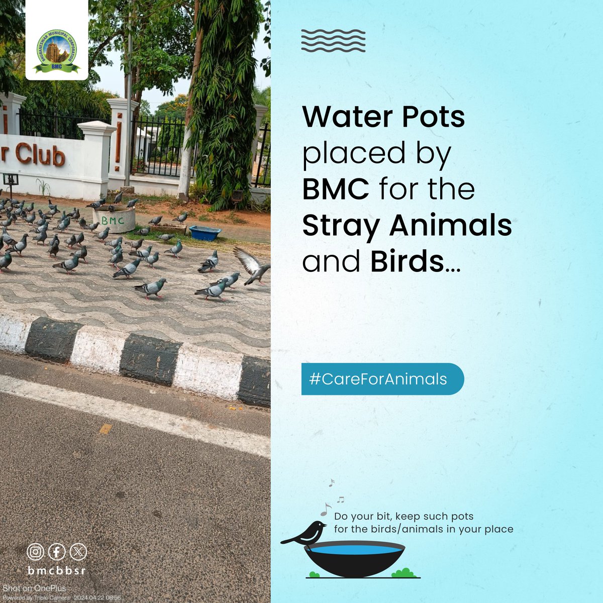 The water pots placed by BMC at many places across the city for the animals/birds are helping them quench their thirst in this hot weather. We request all citizens to come forward and do their bit by keeping water pots in their place for the stray animals/birds. #CareForAnimals