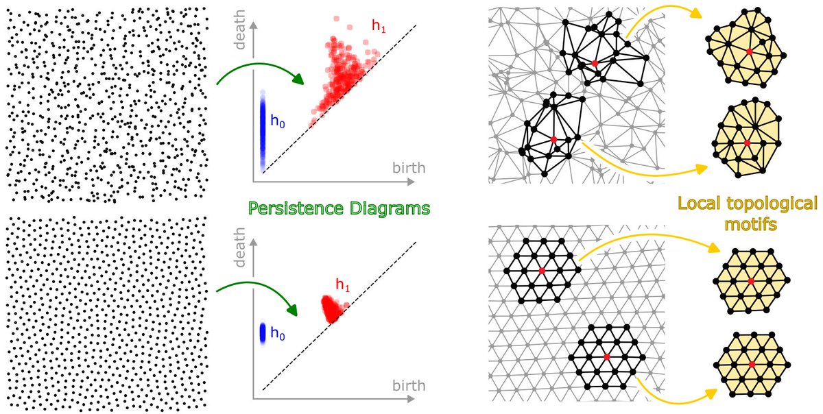 Persistent homology and topological statistics of hyperuniform point clouds, Marco Salvalaglio, Dominic J. Skinner, Jörn Dunkel, and Axel Voigt @MarcoSave @tudresden_de @NorthwesternU @MITMath #CondensedMatter #StatisticalPhysics go.aps.org/3JKKNiO