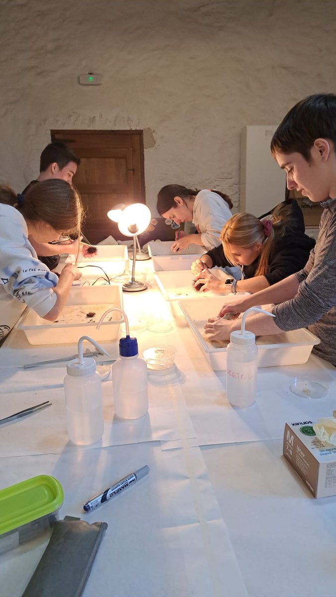 📢Èxit de les pràctiques del Grau de Ciències del Mar a #Begur! ➡️És el setè any que la Universitat de Barcelona escull Begur com a seu d’una estada de pràctiques del grau de Ciències del Mar. 🔎T'ho expliquem a través de la nostra web: begur.cat/noticies/exit-…