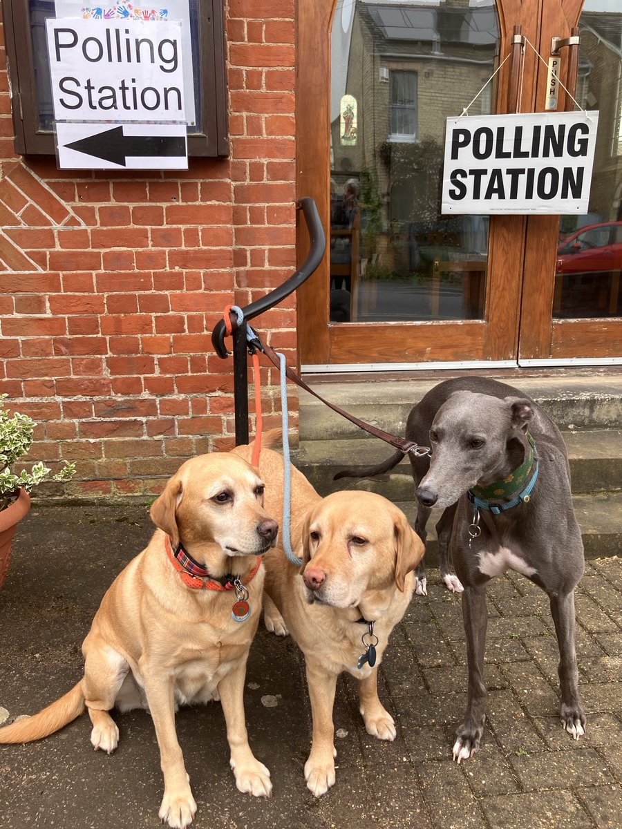 One’s civic duty has just been performed. #dogsatpollingstations