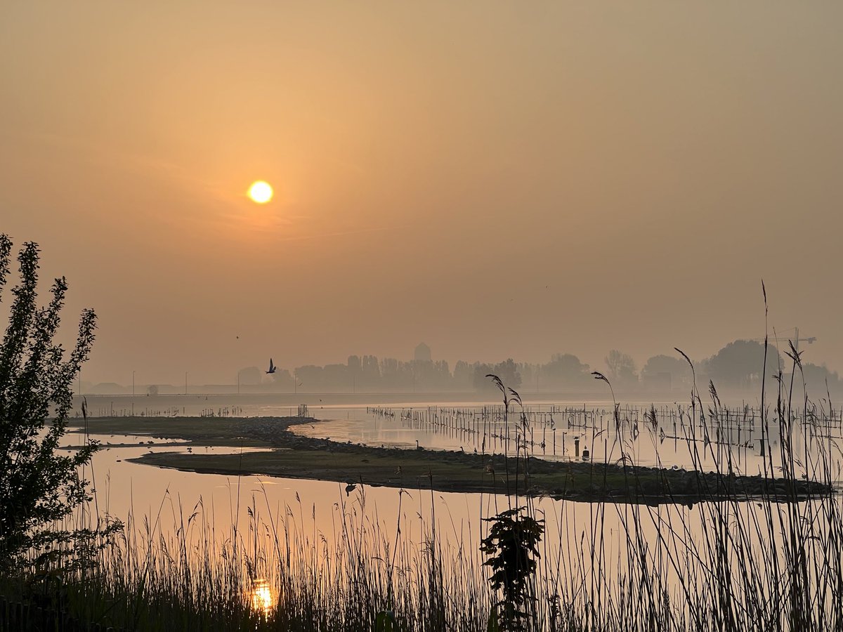 #vrtweer  #weerfoto #natuurpunt 
 #natuur #natuurblad #seizoenen  #natuurmagazine #zon  #winter 
@MijnNatuurpunt @MeteovistaBe @weeronline @Weerkunde #sunrise 
@NoodweerBenelux @gemBredene @FocusWTV #Focuswtv 
Bredene, 02-05-24 - 07:05☀️