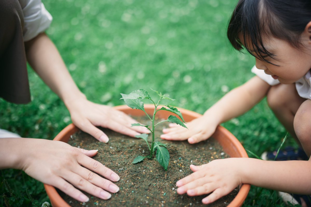 Japonya’da ‘Midori no hi’ (みどりの日) Yeşil Çevre Günü ✨💚🍃 #Doğa sevgisi ve #çevre koruma temalı bir gündür. Başlangıçta 29 Nisan’da kutlanan gün, İmparator #Showa’nın 1989’daki vefatının ardından Altın Hafta tatili kapsamında 4 Mayıs’a taşınmıştır.