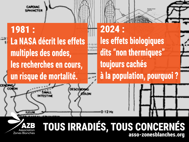 AZB_ehs_mcs's tweet image. LES EFFFETS BIOLOGIQUES DES ONDES TOUJOURS CACHES A LA POPULATION, POURQUOI ?

Nos visuels ici  :
asso-zonesblanches.org/visuels-dinfor…
-
#Electrosmog #Ondes #AntennesRelais #Stop5g #OndesElectromagnétiques #Santé #Antennes #Prévention #RFwaves #wifi #smartphones #safeconnections