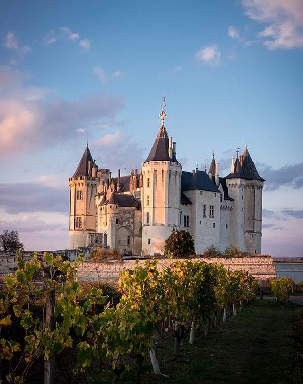 Chateau de Saumur, is another place you will not want to miss. This Chateau is home to a large collection of middle ages artifacts, and a horse saddle museum. Come and learn about history in beautiful Saumur.