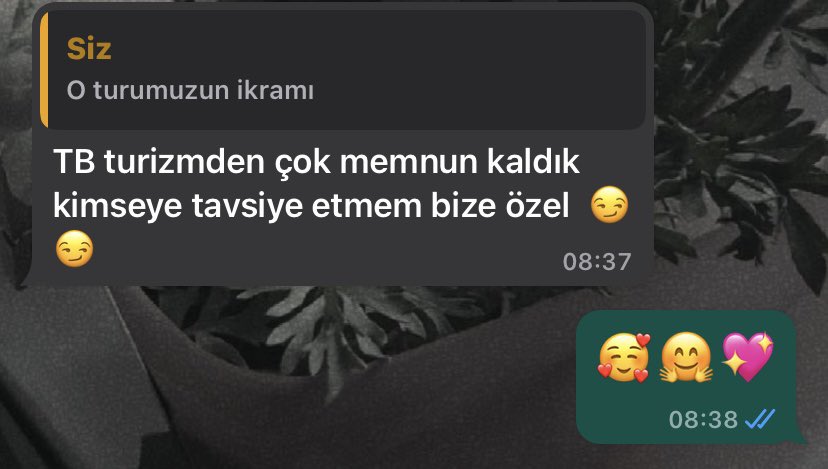 Tura vereceğimiz parayla arabamıza benzin koyup kafamıza göre hareket ediyoruz 🫠💫