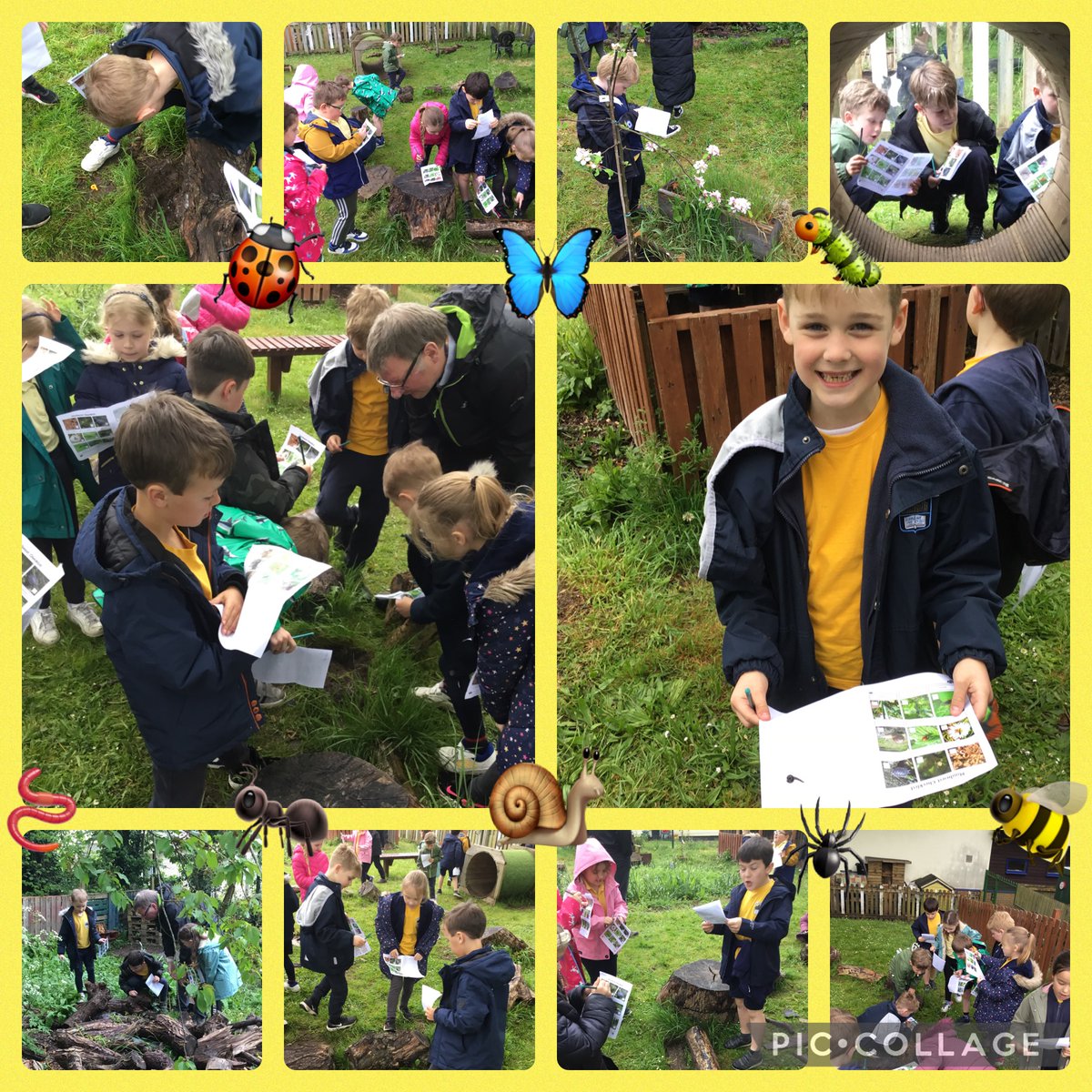 Dosbarth Mrs Clarke enjoyed doing a mini beast hunt in Forest School today! They found lots of mini beasts in their natural habitats and in the bug hotel