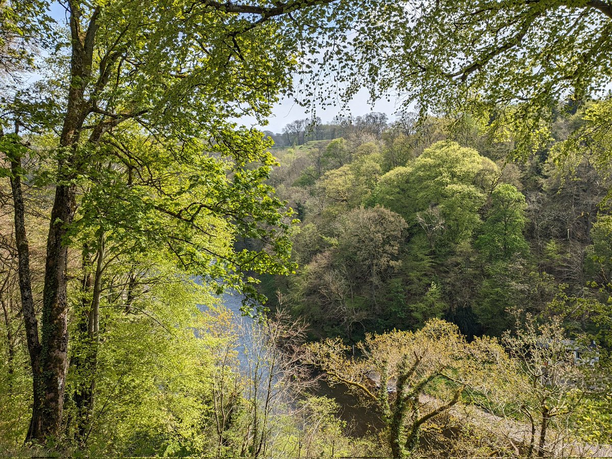 We love wandering around the office at lunchtime. Beautiful views full of green 💚 #melrose #destinationtweeduk #rivertweed #officeviews