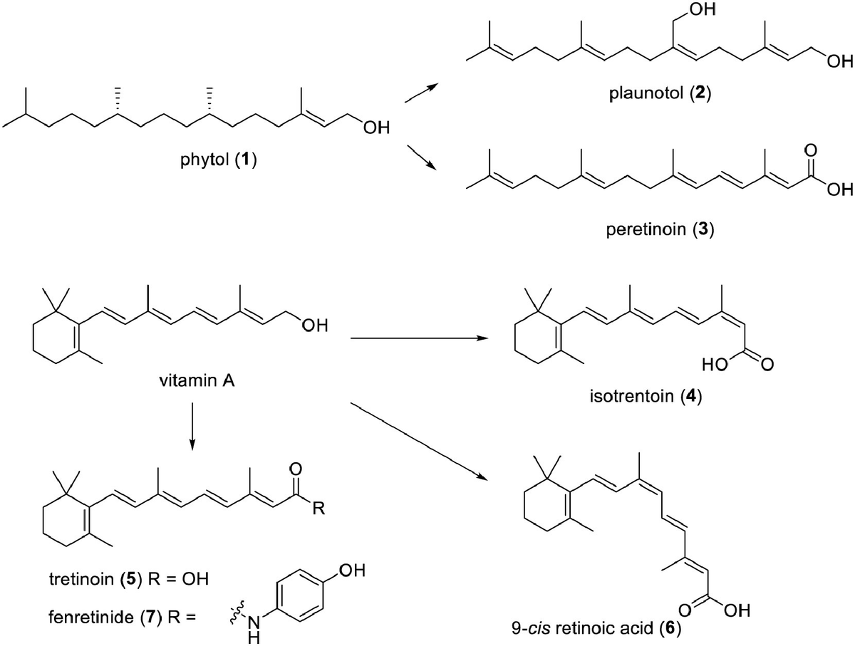 Highly anticipated natural diterpenoids as an important source of new drugs in 2013–2023 doi.org/10.1016/j.ccle…