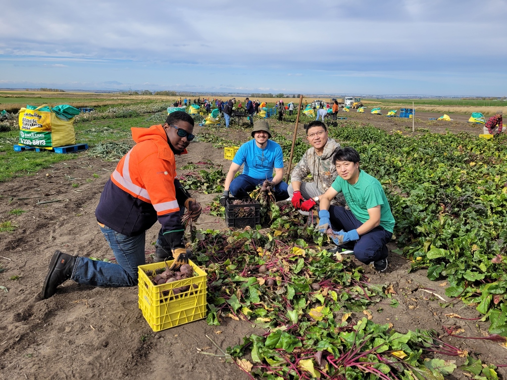 greengategarden's tweet image. Grow-a-Row of veggies for the @CalgaryFoodBank!
Sat, May 4th, 9:30AM-11:30AM
Donate a nonperishable food item/monetary donation to The Calgary Food Bank in exchange for free seeds* from greengate. *While supplies last
calgaryfoodbank.com/growarow
#FeedYYC #CalgaryFoodBank #yycevents
