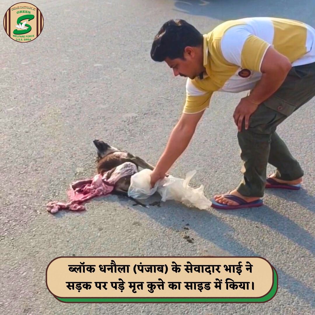 Shah Satnam Ji Green 'S' Welfare Force Wing volunteers, driven by deep kindness, took the respectful step of picking up and burying deceased dogs🐕found on our roads. Their compassionate actions ensure safety for everyone in our community. #AnimalWelfare #RoadSafety…