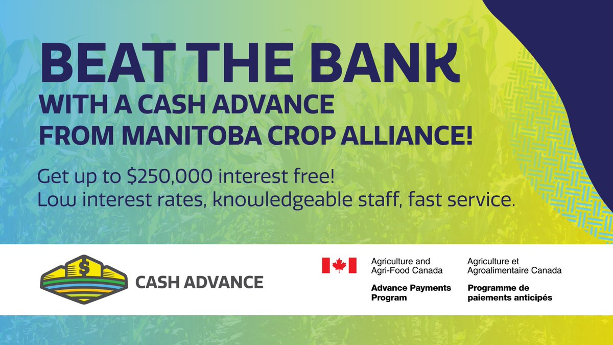 Apply today for a 2024 #AAFC_APP cash advance and receive up to $250,000 interest free! Our 2024 interest rates are highly competitive with other APP administrators, as well as major banks and credit unions. Learn more: ow.ly/VUhc50R70IK #cdnag #westcdnag #MbAg #MBFarms