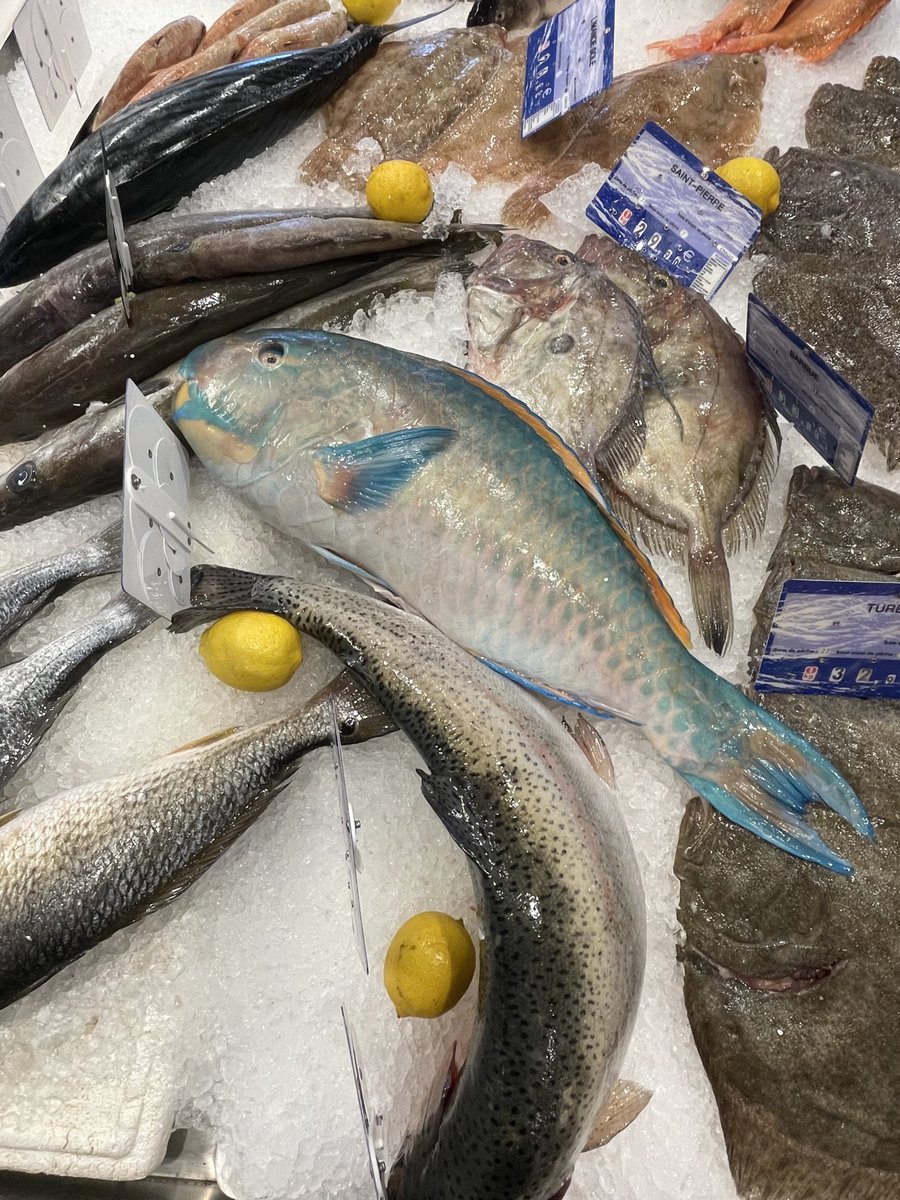 Parrotfish at the fishmonger’s!