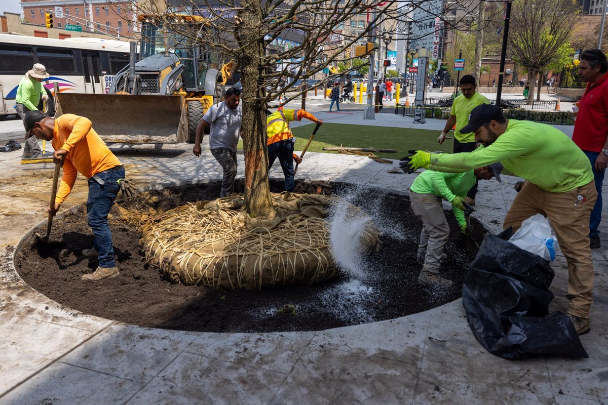 A 25-year-old Oak tree was planted on the corner of Bergen and Academy Streets. The tree, which came from a farm in Milltown, NJ, weighs roughly 10,000 pounds and is a centerpiece of the design that provides more open space for the community.