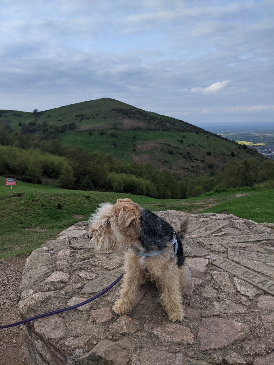#ThrowbackThursday 

#Throwback to this time last year: OK, now when do we go back HERE?!?!?

#dogsofx #hikingadventures #walking #MalvernHills
