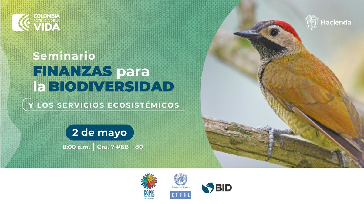 ⏳EN MINUTOS

🌎Sigue en vivo a partir de las 8:00 horas de #Bogotá 🇨🇴 (GMT-5), el Seminario Finanzas para la #Biodiversidad, organizado por la #CEPAL, el  @MinHacienda y @El_BID. 

🔴bit.ly/3vXQdUl

@COP16Colombia