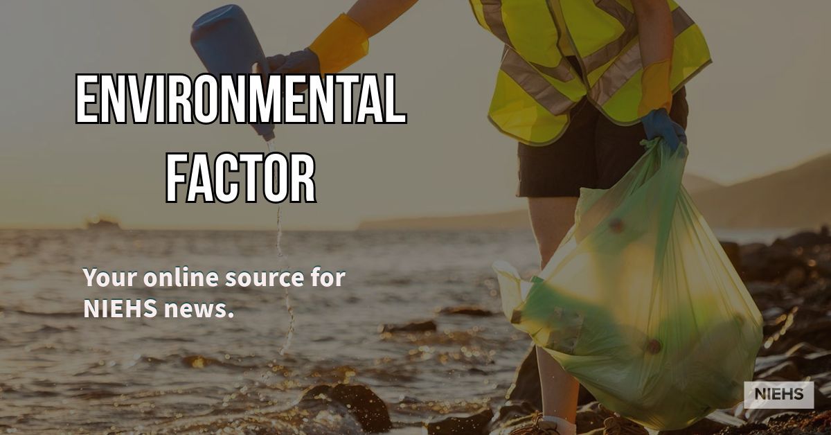 Your May issue of the Environmental Factor newsletter is here! 🌎⚕️📰 bit.ly/4befvgp #NIEHSFactor