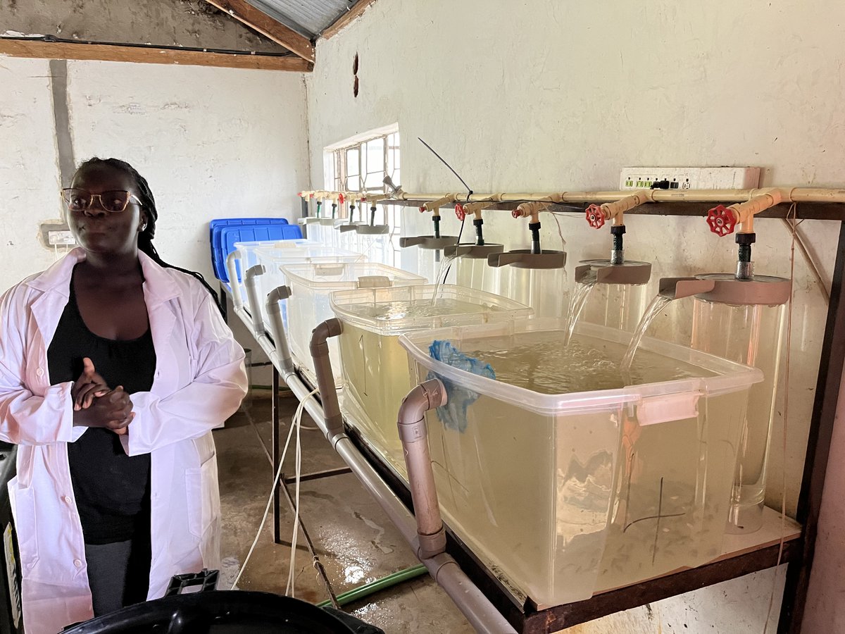 A UiT-project AQUADEVBUS aims to boost aquaculture education and capacity building in Kenya, focusing on sustainable practices and food security. Recently a team from UiT visited Kenya. Read more: uit.no/nyheter/artikk… #Eallju #Drivkraftinord