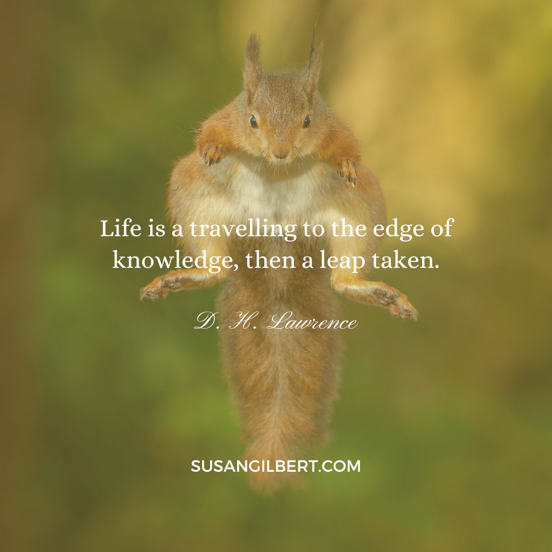 “Life is a travelling to the edge of knowledge, then a leap taken.” ~ D. H. Lawrence #Thursdaythoughts #Authorinspiration